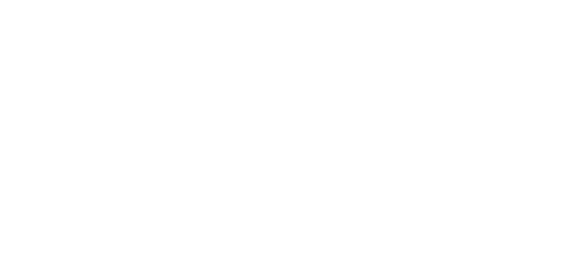 Risk Stategies logo