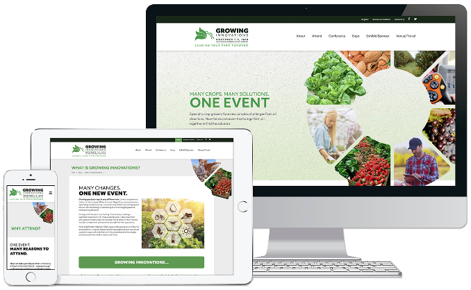 Show Promotion Website_mdg